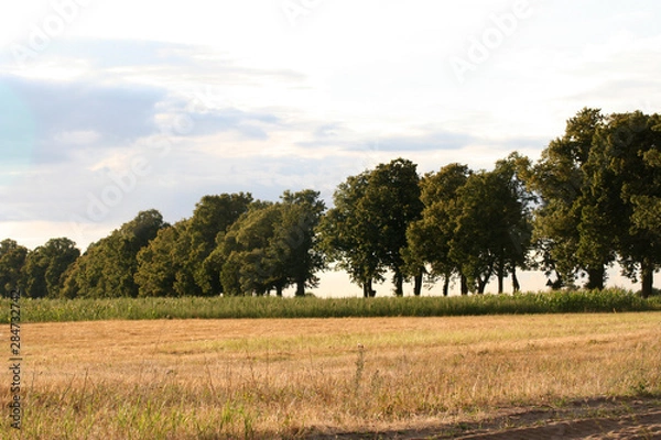 Fototapeta Havelland Bilder
