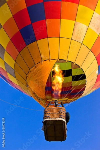 Obraz Hot air balloon