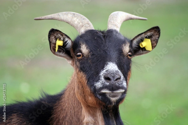 Fototapeta Havelland Bilder