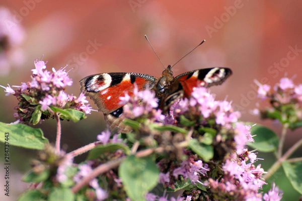 Fototapeta Havelland Bilder