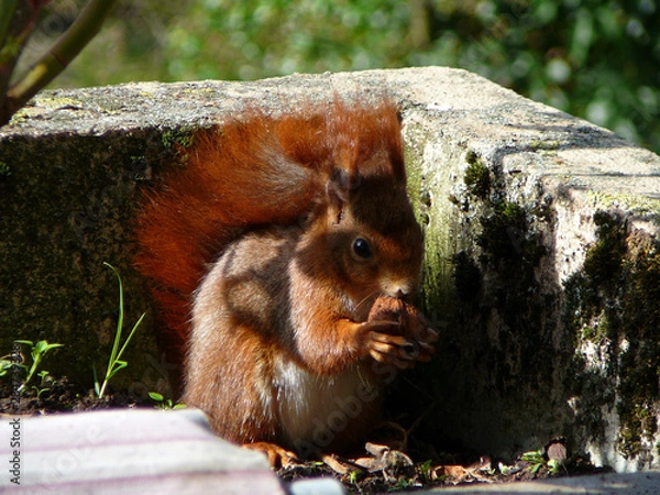 Fototapeta Havelland Bilder