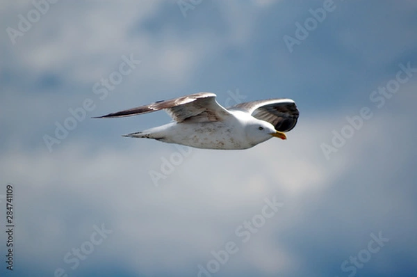Fototapeta Havelland Bilder