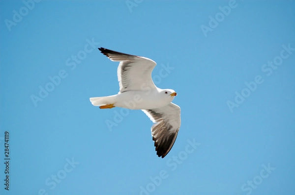 Fototapeta Havelland Bilder