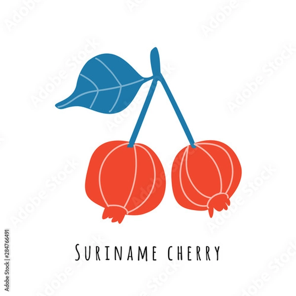 Obraz Suriname cherry fruit illustration