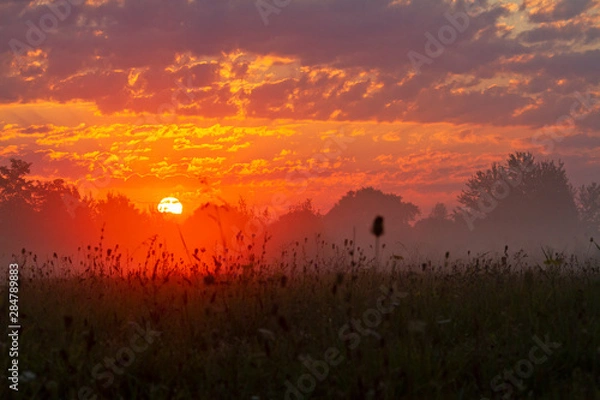 Fototapeta wonderful autumn sunrise in the field