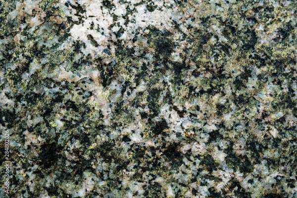 Fototapeta The texture of the stone overgrown with moss. Background image of a boulder