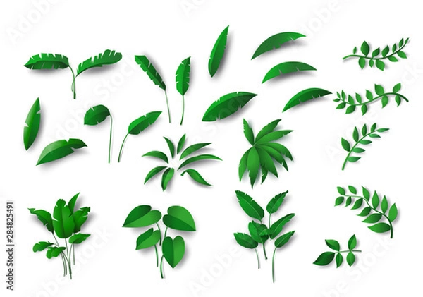 Obraz collection various of green Tropical leaves concept, isolated  elements on  white background