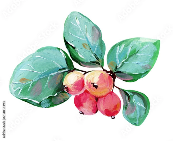 Fototapeta Hand-drawn branch with red crab apples and green leaves