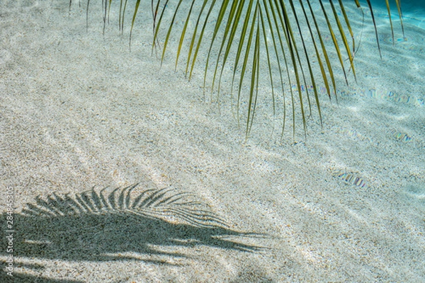 Fototapeta Blurred silhouette of palm leaves on water. Abstract background blue color. Soft focus and motion blur. Copy space.