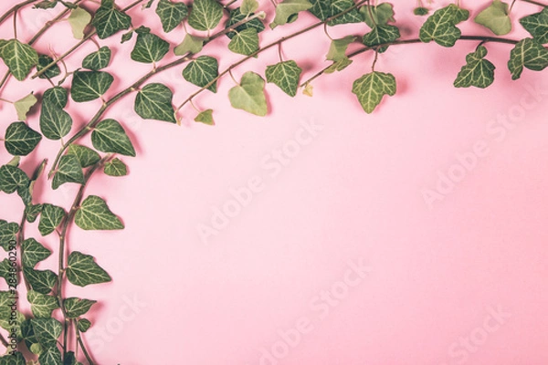 Fototapeta Green leaves on background. 