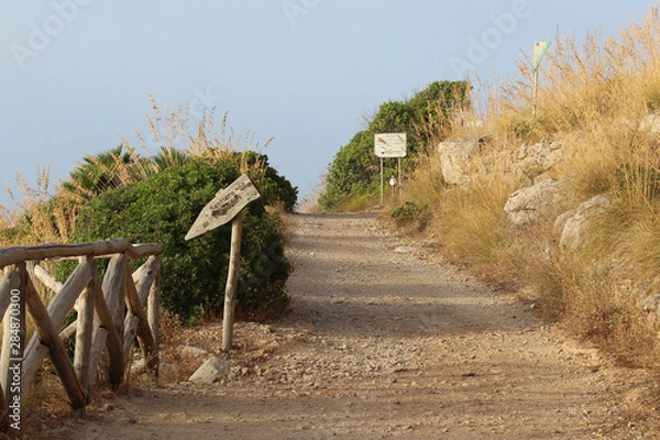 Fototapeta Hidden Path