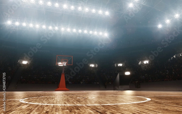Obraz Empty professional basketball arena. Floodlit background