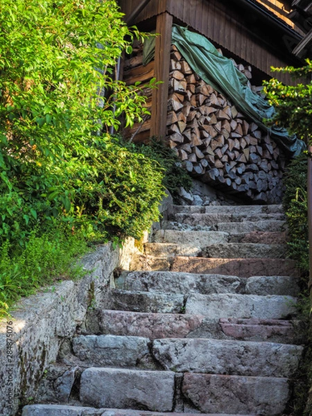 Fototapeta Wood logs