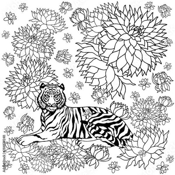 Fototapeta tiger and flower pattern vector contrast abstract illustration design hand drawing