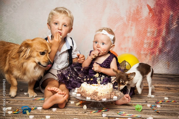 Obraz Hunde naschen Torte