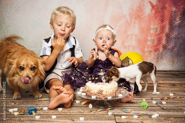 Obraz Hunde naschen Kuchen