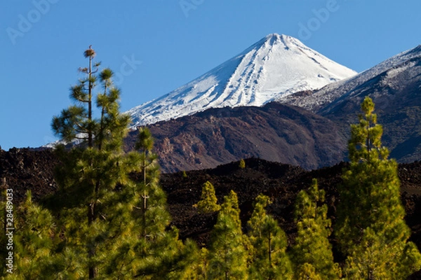 Fototapeta Teide_005