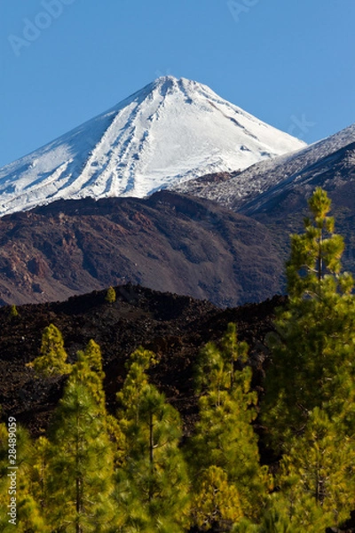 Fototapeta Teide_004