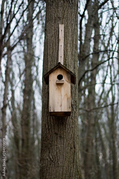 Fototapeta скворечник