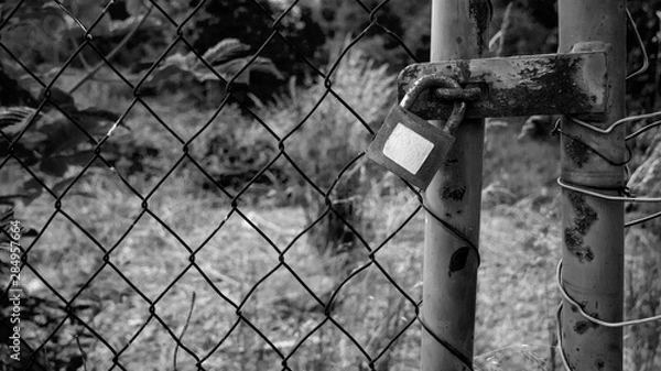 Fototapeta Wire fence with padlock and a white blank sticker - concept - black and white