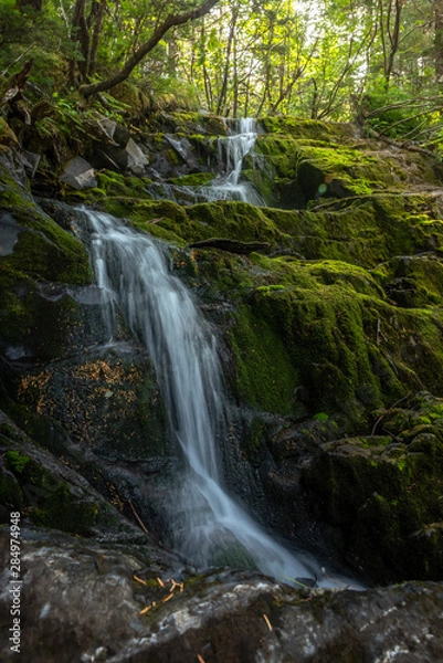 Fototapeta Whittier Waterfall