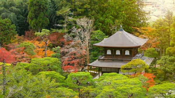 Fototapeta Top view of UNESCO World Heritage site Ginkakuji Temple on the hill surrounded by autumn leaves in Kyoto, Japan