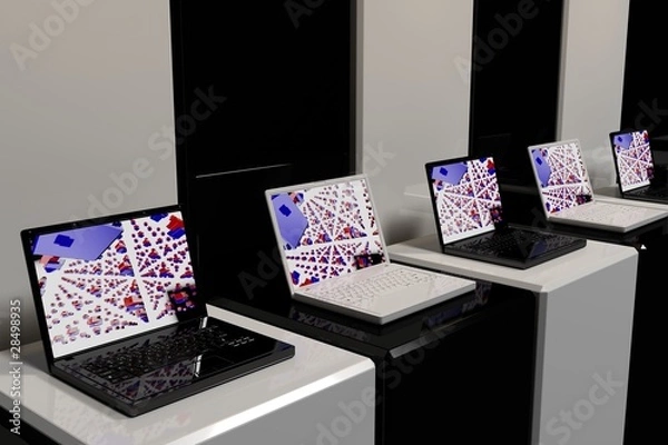 Obraz black and white 2