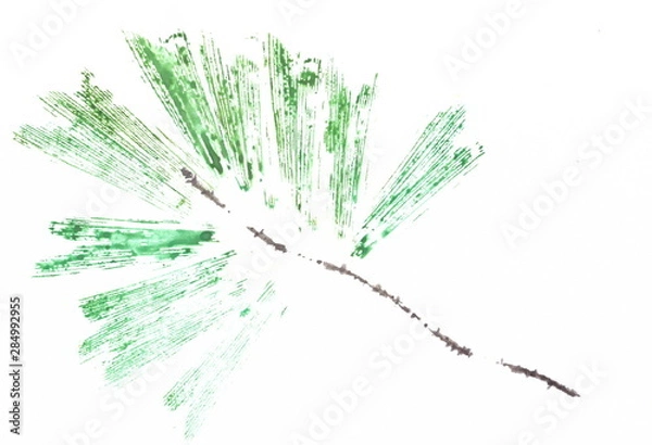 Fototapeta Gouache drawing: Abstraction. Imprint. Pine branch.