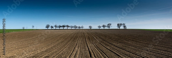 Obraz Ploughed field with trees on the horizon