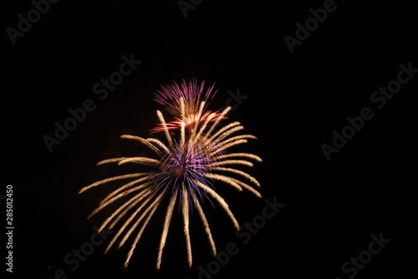 Obraz 日本の花火