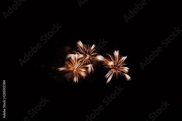 Obraz 日本の花火