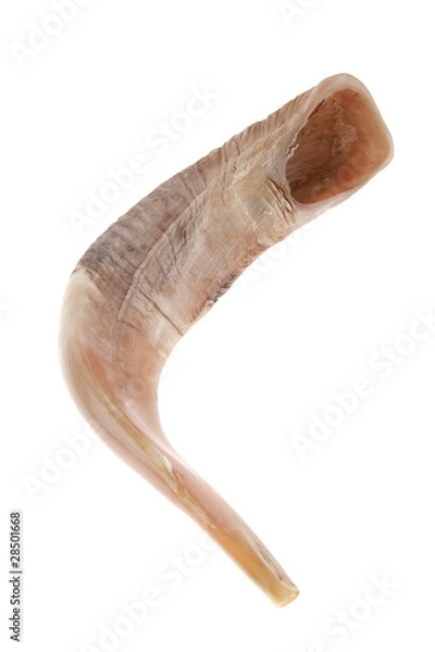 Obraz ram horn ( shofar )