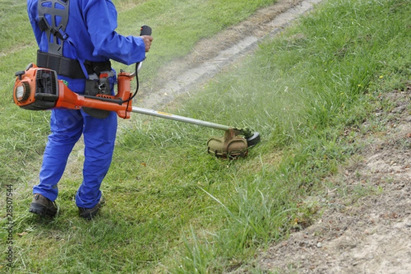 Obraz Entretien au rotofil