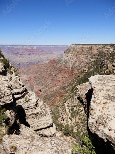 Fototapeta OLYMPUS DIGITAL CAMERA