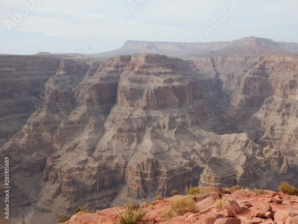 Fototapeta OLYMPUS DIGITAL CAMERA