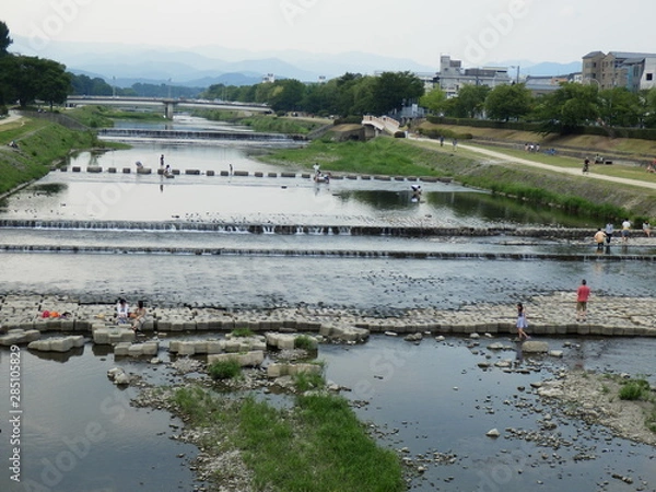 Fototapeta OLYMPUS DIGITAL CAMERA