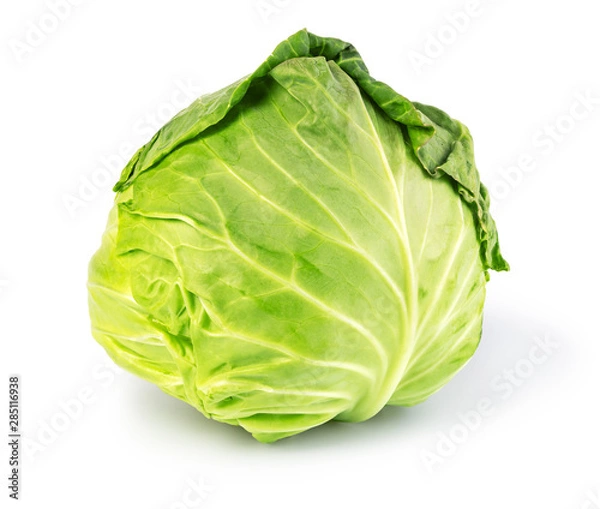Obraz green cabbage