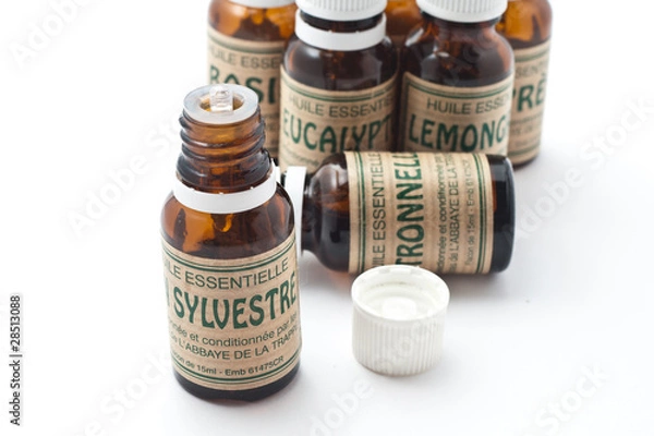 Obraz HE assortiment ouvert