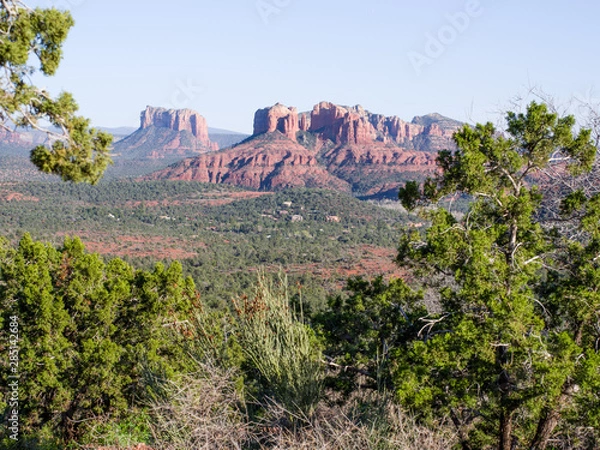 Obraz Sedona suburbs in late afternoon seen from distance. Red rock scenery framed by green trees in foreground