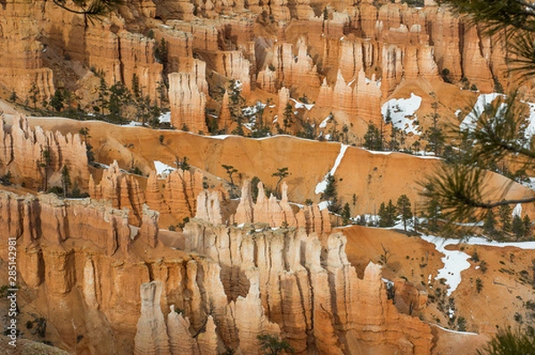 Fototapeta Pinnacles, monoliths and other rock formations of Bryce Canyon in close-up detail. Colorful rocks overgrown by green pines and partly covered by white snow