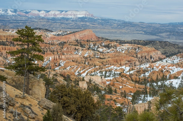 Fototapeta Bryce Canyon in spring - broad view of sunlit BC. Foreground frame by green pine trees, red / ochre canyon cliffs partly covered by white snow. Mountains on distant horizon