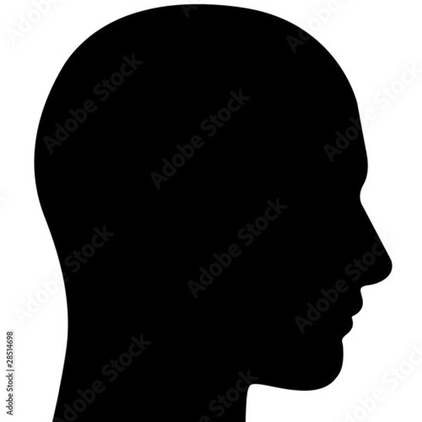 Obraz black head without hairs