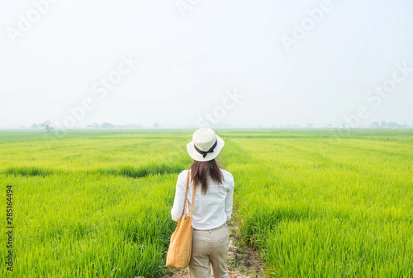 Obraz Woman tourist looking to the beautiful view of rice field green grass in the countryside of Thailand in the morning. 