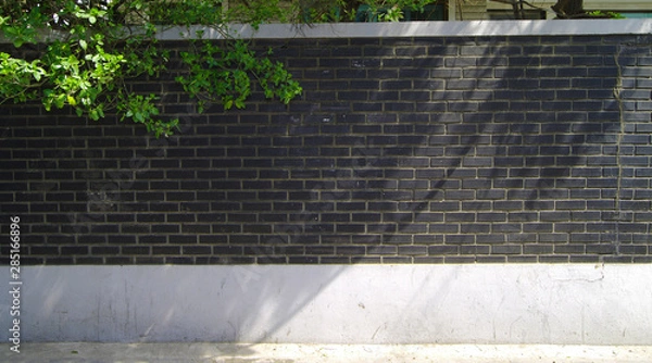 Obraz 배경.벽면.질감.타일.벽돌.담쟁이.골목.도시풍경.