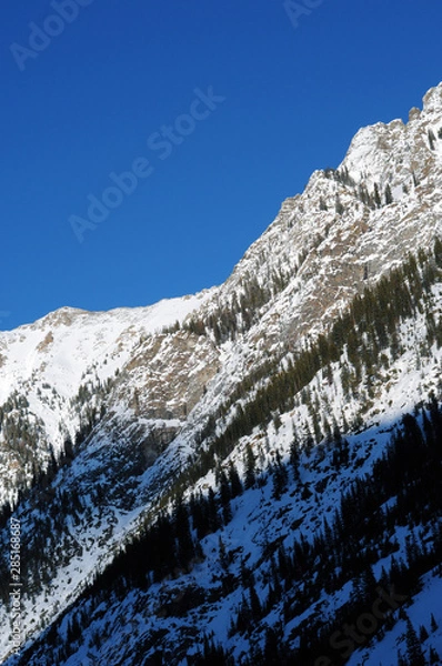 Obraz Rocky Mountains Snow