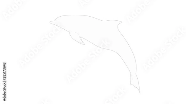 Fototapeta Dolphines 3d rendering isolated in white studio background