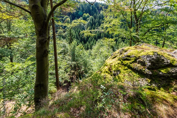 Fototapeta Thüringer Wald Gießübel Rennsteig
