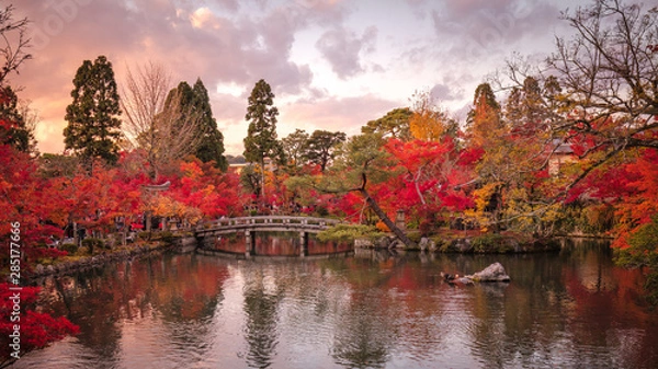 Obraz 京都府 永観堂 紅葉