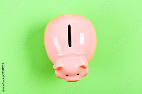 Fototapeta income management. planning budget. financial problem. piggy bank on green background. money saving. top view of money box. empty moneybox. moneybox with slot. you have nothing
