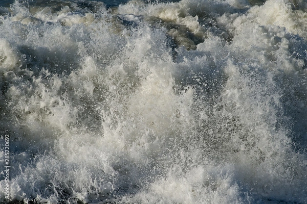 Obraz surf onda mare sea